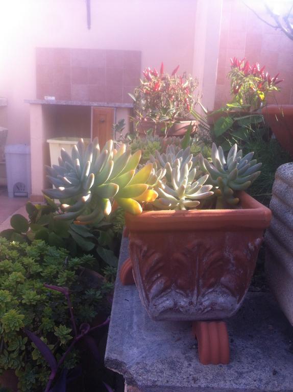 Bed And Breakfast Letterario Fiumicino Exterior foto