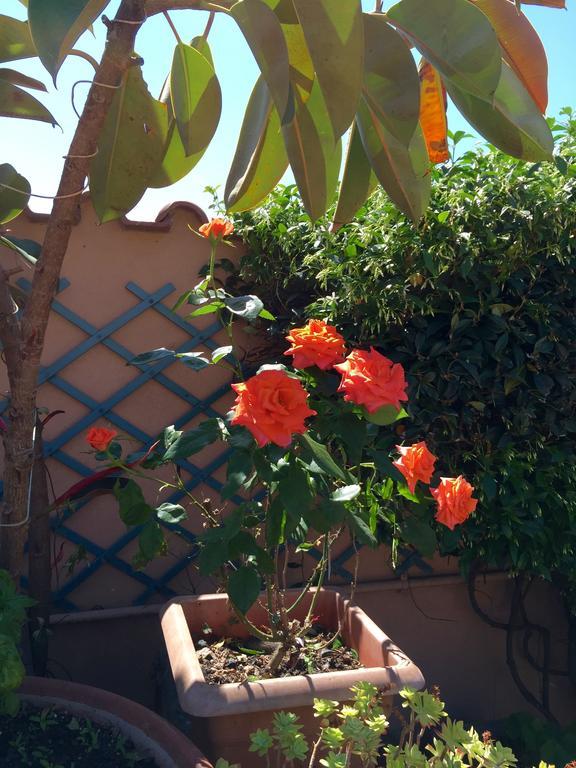 Bed And Breakfast Letterario Fiumicino Exterior foto