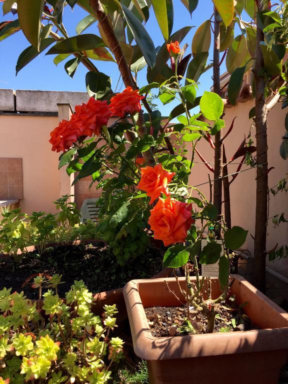 Bed And Breakfast Letterario Fiumicino Exterior foto