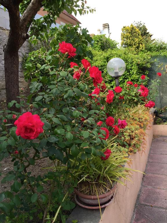 Bed And Breakfast Letterario Fiumicino Exterior foto