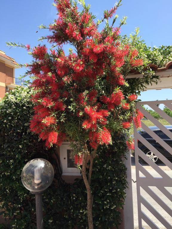 Bed And Breakfast Letterario Fiumicino Exterior foto