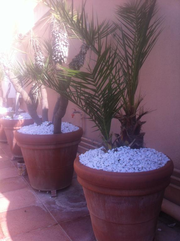 Bed And Breakfast Letterario Fiumicino Exterior foto