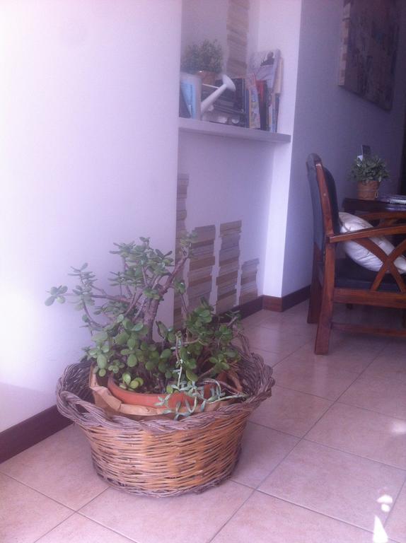 Bed And Breakfast Letterario Fiumicino Exterior foto